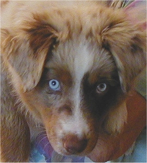 Buster Floyd